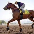 【注目馬動向】ウインカーネリアンがドバイのアルクオーツスプリントの招待を受諾　２年連続参戦へ