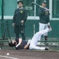 【阪神】ヒヤリ！侍ジャパン佐藤輝明がフリー打撃で死球受ける　練習を中断