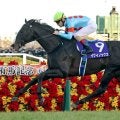 イクイノックス全妹の競走馬名は「エクアトーレ」に決定　シルク・ホースクラブが発表
