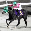 【注目馬動向】報知新聞社杯エーデルワイス賞勝ち馬のリュウノフライトが骨折　四位調教師「復帰は秋ごろになると思います」
