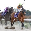 【フェブラリーS想定馬・騎手】コスタノヴァ、ダブルハートボンドなど21頭