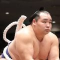 【平成の名力士列伝：鶴竜】先輩とは異なる雰囲気を醸し出した４人目のモンゴル出身横綱