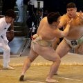インカレ優勝の夢果たせず、団体戦ベスト８も市川主将「最後は主将らしいことができた」ー第103回全国学生相撲選手権大会（インカレ・団体戦）