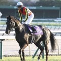 【注目馬動向】クロワデュノールは大阪杯出走へ　ドバイ・シーマクラシックの招待は辞退