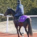 【きさらぎ賞】５・９億円馬エムズビギンは「成長を感じますね」　最終調整後の陣営は手応えありの様子