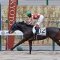 【京都４Ｒ・３歳新馬】９番人気のアレンスターが圧巻の８馬身差でＶ　三浦皇成騎手「秘めているものは高い」