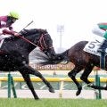 【東京５Ｒ・３歳新馬】格安馬が３・２億円馬一蹴！「まだ伸びしろある」ベルウッドクレドⅤに津村明秀騎手が期待