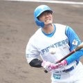 西川遥輝、日ハム“復帰戦”で死球　紅白戦のスタンド騒然…担架搬入→プレー続行で拍手