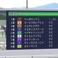 京都５Ｒで珍事発生！１～９着までの着差がすべて「クビ」　勝ち馬と９着馬のタイム差は０秒４