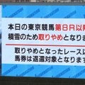 ８Ｒ以降が中止になった東京競馬「視界不良になると競走の実施が危険である」とＪＲＡが説明　騎手からも同意見