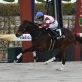【アルデバランS結果】ゼットリアンが3馬身差完勝でオープン初V