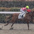 【東京7R】雪中決戦を制す！マジッククッキーが豪快5馬身差V