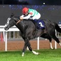 【アブダビゴールドＣ】さすがマジックマン！　神業リードのモレイラ騎手「別次元の馬」シュトラウスが初代王者