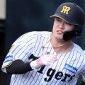 阪神　現役ドラフト移籍の浜田太貴が左翼へ豪快弾！左翼へ今季対外試合チーム１号　シート打撃に続く猛アピール