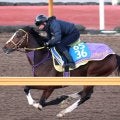 日曜小倉競馬場の注目激走馬…小倉１１Ｒ小倉日経賞