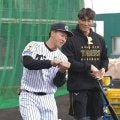 阪神　ドラ１立石は１年目から２０発イケる！糸井ＳＡが太鼓判　佐藤輝、森下に「匹敵するバッティング能力」