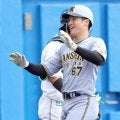阪神・高寺　浜田に負けじとソロ弾含む２安打　激化左翼争い「続けていければ」