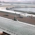 京都競馬は雪の影響で２月９日も中止が決定　２日連続で開催できず　１０日に東京と２場で代替競馬開催