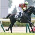 【今日の注目ポイント】京都で代替競馬 メインは3歳重賞・きさらぎ賞