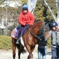 【東京新聞杯】Ｇ１馬復権へ　シャンパンカラーが絶好のデキ　田中剛調教師「すごく良いです」