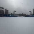 一面雪景色から一転…たった1日で戻った“日常”　変幻自在のヤクルト本拠地「素敵」