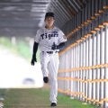 阪神・ドラ１立石　見て学べ！別メニューでも宜野座帯同　佐藤輝とも早速交流、森下からは金言「ケガがプラスに」