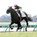 【京都５Ｒ・３歳新馬】エレガンスアスクが人気に応え３馬身差で快勝　川田将雅騎手「いい走りが出来ました」