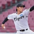 元阪神・森木、パドレスと電撃マイナー契約　MLB公式サイトに掲載…21年ドラ1右腕