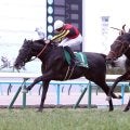 【きさらぎ賞】ゾロアストロが重賞３度目挑戦で初勝利　ハマーハンセン騎手「クラシックを見据えて...」