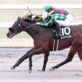 【京都１０Ｒ・大和Ｓ】「感触をつかめていた」荻野極騎手　ポッドベイダーがゴール前で差し切る
