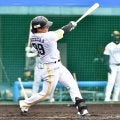 【ソフトバンク】野村勇、実戦初打席で強烈な左翼線二塁打　開幕から遊撃レギュラーへ猛アピール