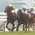 京都記念勝ち時計ランキング TOP5には「格上挑戦の劇的V」や「飛躍を予感させる快走」など