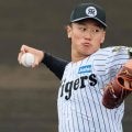 阪神戦力外、元ドラ1投手の驚きの去就にX注目「夢あるな」「伸びしろしかない」1軍では最速154キロも記録