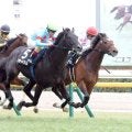 「ユリカモメールと...」「怪物だと思ってた」７頭立てレースで１番人気馬２着にネット悲喜こもごも　アローメタル