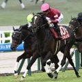 【京都記念見どころ】ハイレベルの4歳馬エリキングが登場