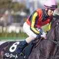 【共同通信杯】母は名牝クロノジェネシス ベレシートが重賞初制覇なるか