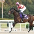 【先週のJRA抹消馬】24年JBCスプリント2着馬のチカッパ、23年の京都HJを制したダイシンクローバーなど