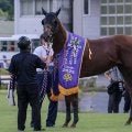 佐賀記念に好メンバー集結 「地方の連対率100％馬」と「中央の現級複勝率100％馬」に注目