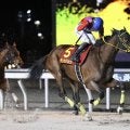 【クイーン賞】テンカジョウが交流重賞4勝目…2着は大井マーブルマウンテン