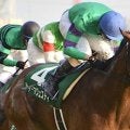 のちの皐月賞馬ディーマジェスティが制した共同通信杯を振り返る
