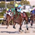 【姫路競馬・兵庫ウインターカップ】ペースセッティングが地元の意地見せ重賞初制覇　２３年のシンザン記念２着馬が復活