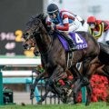 【共同通信杯展望】距離短縮組の好走データが後押し GI馬ロブチェンが重賞連勝へ