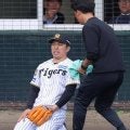 阪神　石井大智は球場に姿を見せず　前日の紅白戦でアクシデント　打球受けた伊藤将司は左足を引きずりながら球場入り