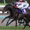 【共同通信杯】ホープフルS覇者のロブチェン ナリタブライアン以来32年ぶりGI勝ち馬の戴冠なるか
