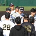 【阪神】佐藤輝明から宜野座の虎党へ　WBC活躍約束の６連発！