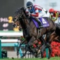 【共同通信杯出走馬・騎手確定】ロブチェン＆松山弘平騎手、リアライズシリウス＆津村明秀騎手など9頭