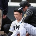 【阪神】石井大智が診断されたアキレス腱損傷とは…炎症、部分損傷、完全断裂など