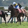 【京都記念予想】AIの注目馬はチャンス十分の8歳馬 大敗直後でも狙いたい強調材料とは