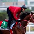 サウジ決戦目前、フォーエバーヤングらJRA勢3頭が最終調整