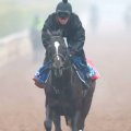【京都記念】菊花賞２着馬エリキングは５枠６番に決定　骨折明けヘデントールは１枠１番